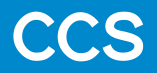 CCS Conseil & Expertise